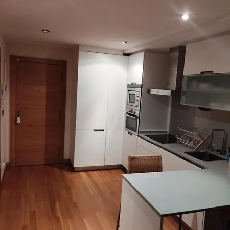 Pleno Centro, 5 Minutos Casco Vello, 400 Metros Estación Ave *